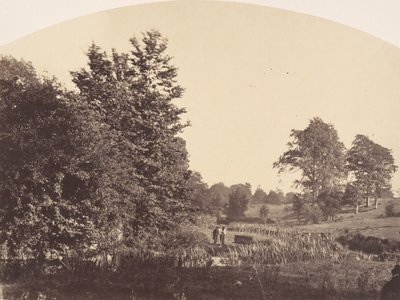 वुडलैंड स्ट्रीम, 1856। द्वारा प्लंकेट