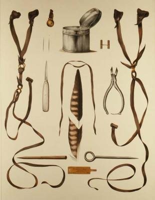 H. Schlegel और AH Verster de Wulverhorst द्वारा 'Traite de Fauconnerie' से फाल्कनरी के लिए उपकरण द्वारा पोर्टमैन और वान वूव