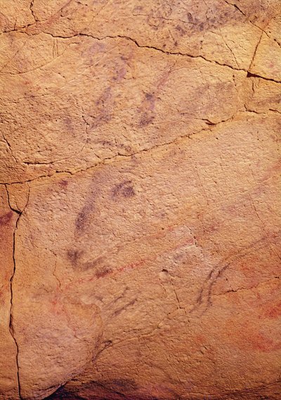 अल्तामिरा की गुफाओं से एक छोटे हरिण का सिर, c.15000-8000 ईसा पूर्व (गुफा चित्र) द्वारा प्रागैतिहासिक