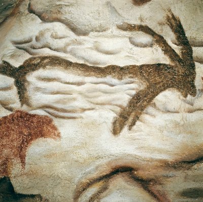 Cervid रॉक पेंटिंग, Cave de Lascaux, Dordogne, France, अपर पैलियोलिथिक (Magdalenian) c. 13000 साल पहले (पेंटिंग) द्वारा प्रागैतिहासिक प्रागैतिहासिक