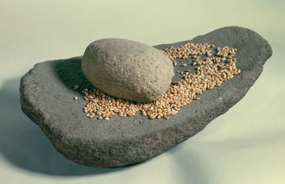 प्रागितिहास: अनाज के साथ निष्क्रिय पहिया (नवपाषाण काल)। फ्रांस। सेंट जर्मेन एन ले, प्राचीन वस्तुओं का संग्रहालय। द्वारा प्रागैतिहासिक प्रागैतिहासिक