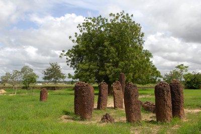 प्रागितिहास: वासु, गाम्बिया से पत्थरों का महापाषाण चक्र (फोटो) द्वारा प्रागैतिहासिक प्रागैतिहासिक
