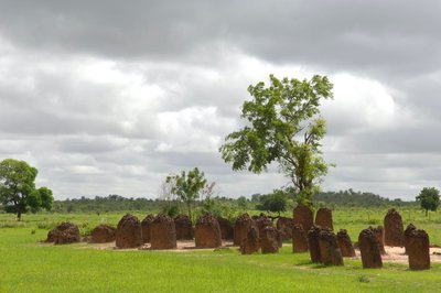 प्रागितिहास: वासु, गाम्बिया से पत्थरों का महापाषाण चक्र (फोटो) द्वारा प्रागैतिहासिक प्रागैतिहासिक