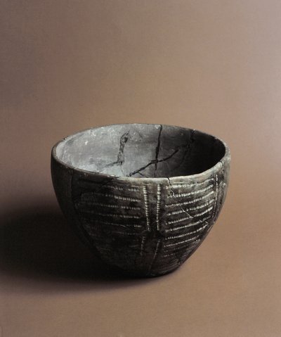 प्रागितिहास: कैंडाइड (लिगुरिया) में कैवर्ना डेले एरेन से नवपाषाण सजावट के साथ उत्कीर्ण सिरेमिक फूलदान। पेगली, म्यूजियो विला पल्लविकिनी द्वारा प्रागैतिहासिक प्रागैतिहासिक