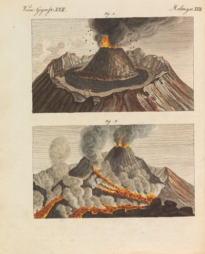 फ्रेडरिक जोहान जस्टिन बर्टुच, 1798-1830 द्वारा चिल्ड्रेन्स पिक्चर बुक चिल्ड्रेन एनसाइक्लोपीडिया। द्वारा वीमर प्रिंसली फ्री ड्रॉइंग स्कूल के छात्र।