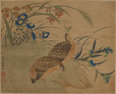 फूलों के नीचे घास-फूस खाते दो बटेर द्वारा Qing Dynasty Chinese School