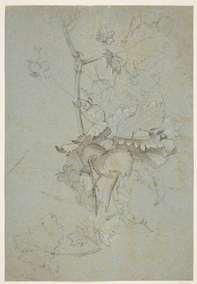 पादप अध्ययन द्वारा Rachel Ruysch