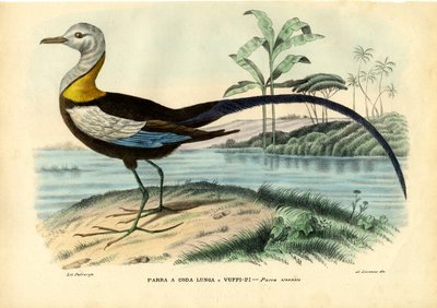चीनी जमाना, 1863-79 द्वारा रायमुंडो पेट्रारोइया