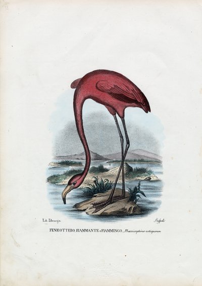रोज़ी, 1863-79 द्वारा रायमुंडो पेट्रारोइया
