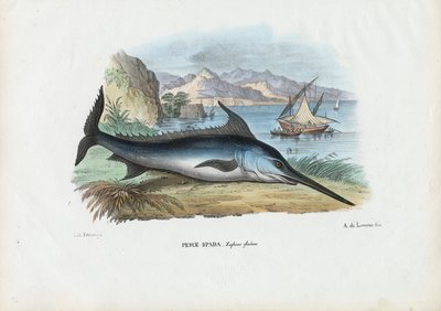 स्वोर्डफ़िश, 1863-79 द्वारा रायमुंडो पेट्रारोइया