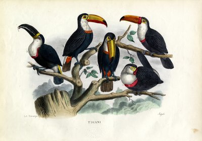 टक्सन, 1863-79 द्वारा रायमुंडो पेट्रारोइया