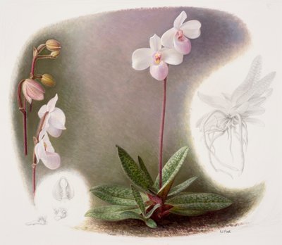  द्वारा रेमंड बूथ