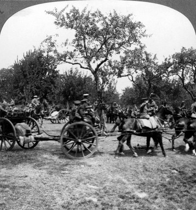 अश्व-निर्मित तोपें, प्रथम विश्व युद्ध, 1914-1918। द्वारा यथार्थवादी यात्रा प्रकाशक