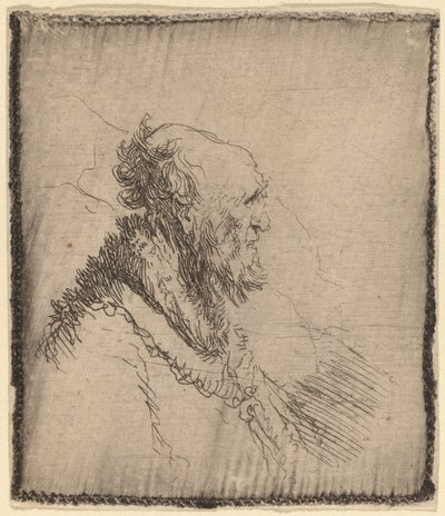 प्रोफाइल में छोटी दाढ़ी वाला बाल्ड ओल्ड मैन, c. 1635. द्वारा रिमब्रांड वैन रिजन