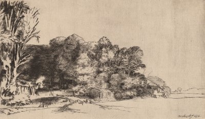 विस्टा के साथ पेड़ों का झुरमुट, 1652। द्वारा रिमब्रांड वैन रिजन