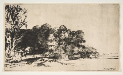 विस्टा के साथ पेड़ों का झुरमुट, 1652। द्वारा रिमब्रांड वैन रिजन