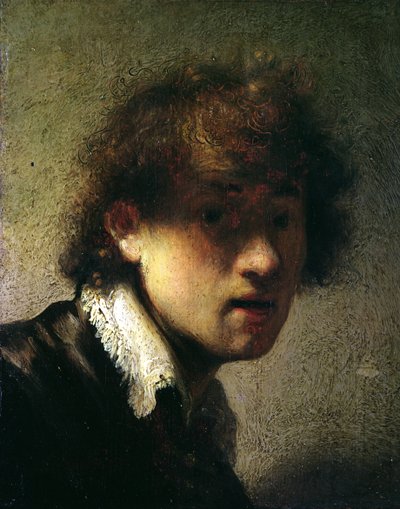 एक यंग मैन या सेल्फ पोर्ट्रेट का प्रमुख, 1629 द्वारा Rembrandt van Rijn