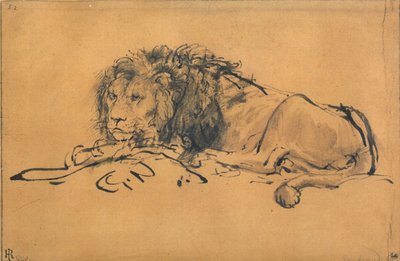 लायन रेस्टिंग, टर्न टू लेफ्ट, c1650 द्वारा रिमब्रांड वैन रिजन