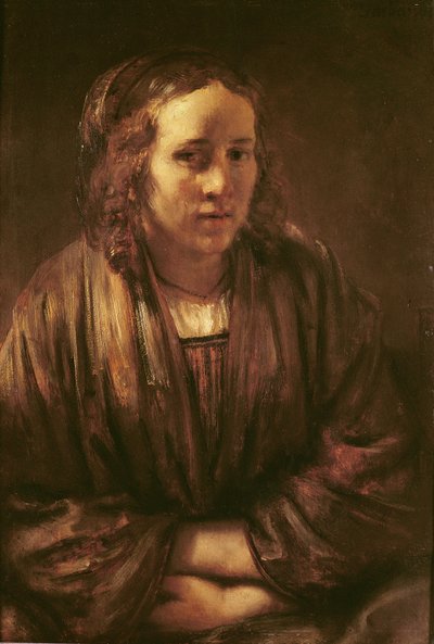 हेंड्रिकजे स्टॉफल्स का पोर्ट्रेट द्वारा Rembrandt van Rijn