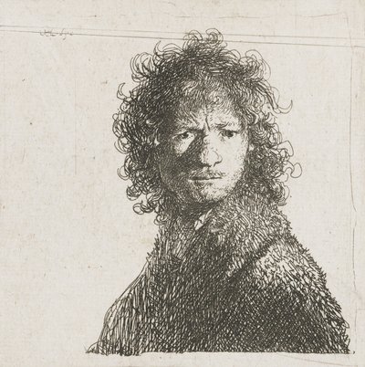 सेल्फ-पोर्ट्रेट फॉलिंग, 1630 द्वारा रिमब्रांड वैन रिजन