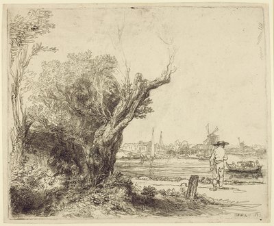 ओवल, 1645 (कागज पर अंडर ड्रायपिंग खोदना) द्वारा रिमब्रांड वैन रिजन