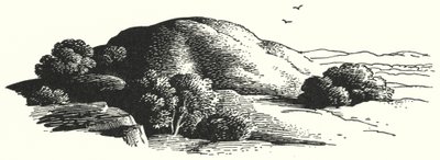 हैंस क्रिश्चियन एंडरसन: द एल्फिन-माउंट (लिथो) द्वारा रेक्स (बाद में) व्हिस्लर