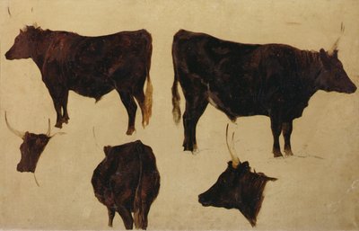 लंबे सींग वाले मवेशियों का अध्ययन (बोर्ड पर तेल) द्वारा रिचर्ड एन्सडेल