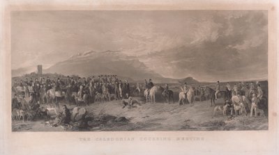  द्वारा रिचर्ड एन्सडेल