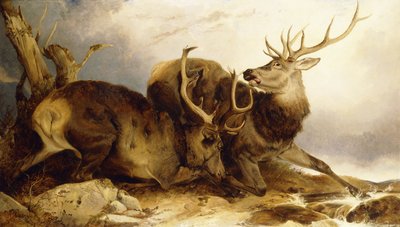 द कॉम्बैट, 1847 द्वारा रिचर्ड एन्सडेल