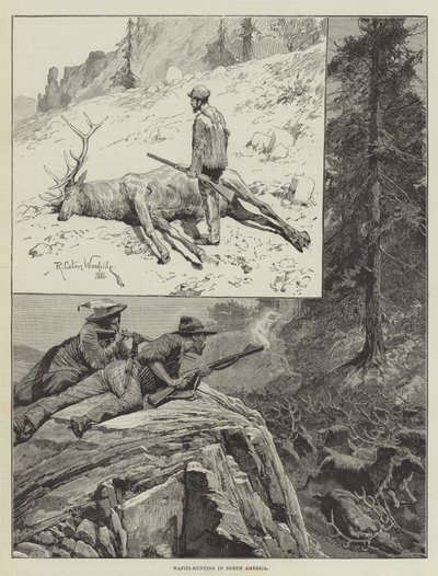 उत्तरी अमेरिका में वैपिटी-शिकार (उत्कीर्णन) द्वारा रिचर्ड कैटन II (बाद में) वुडविले