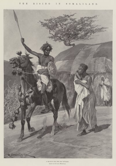 द राइजिंग इन सोमालिलैंड द्वारा रिचर्ड केटन वुडविले जूनियर