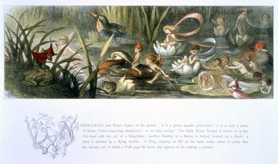 जल-लिली और जल परियों, विलियम एलिंघम और एंड्रयू लैंग द्वारा &39;इन फेयरीलैंड: ए सीरीज ऑफ द एल्फ-वर्ल्ड&39; से चित्रण द्वारा रिचर्ड डॉयल