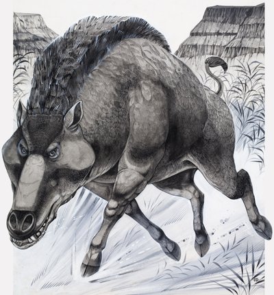  द्वारा रिचर्ड हुक