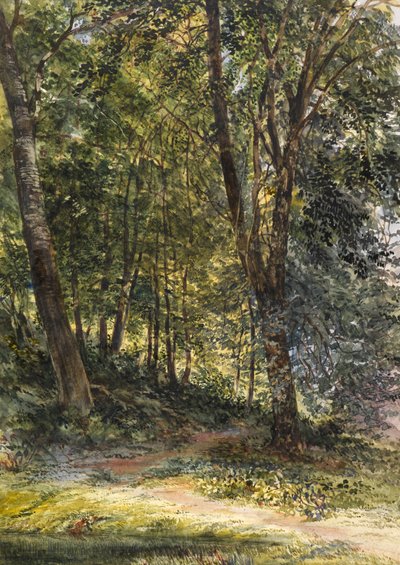 सन डपल्ड वुड्स, सरे (वॉटरकलर और बॉडीकलर) द्वारा रिचर्ड रेडग्रेव