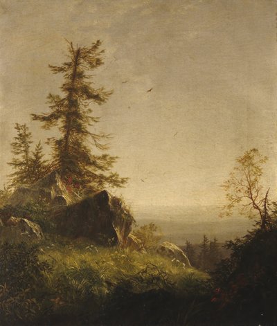 पहाड़ पर सुबह, 1856। द्वारा रिचर्ड विलियम हबर्ड