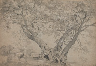  द्वारा रिचर्ड विल्सन