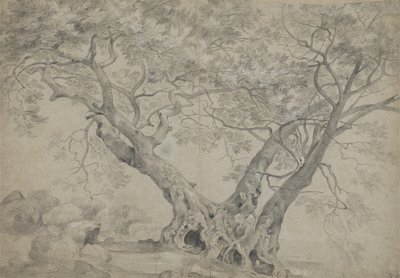  द्वारा रिचर्ड विल्सन