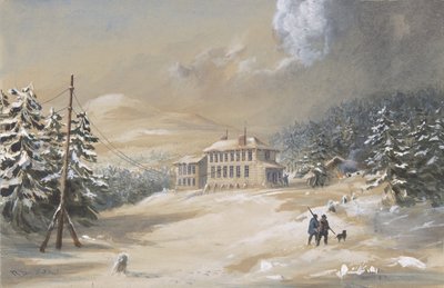 ट्रिनिटी बे, न्यूफाउंडलैंड, 1857-1858, 1865-66 में टेलीग्राफ हाउस का बाहरी दृश्य। द्वारा रॉबर्ट चार्ल्स डुडले