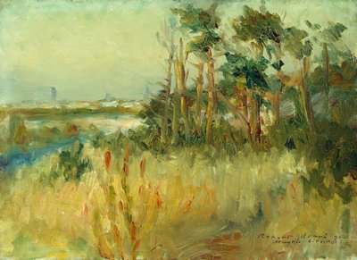  द्वारा रॉबर्ट कोज़ाद हेनरी