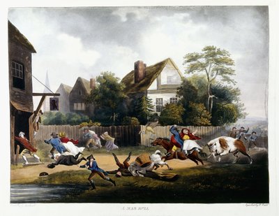 ए मैड बुल, 1806 द्वारा रॉबर्ट डोड