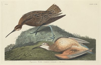 कर्ल्यू एस्किमोस, 1834। द्वारा रॉबर्ट हेवेल