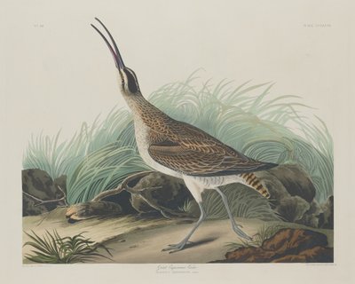 ग्रेट कर्ल्यू एस्किमोस, 1835। द्वारा रॉबर्ट हेवेल