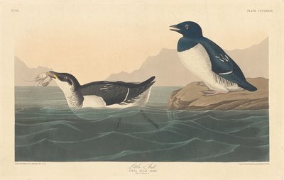 लिटिल औक, 1836। द्वारा रॉबर्ट हेवेल