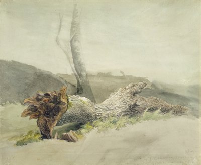 फॉलन ट्री, c.1804 (wove पेपर पर ग्रेफाइट पर) द्वारा रॉबर्ट हिल्स