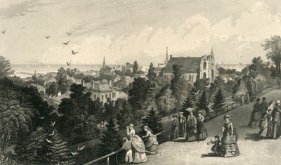 रिजर्वोइयर वॉक से क्लीवलैंड शहर, 1872। द्वारा रॉबर्ट हिंसेलवुड