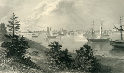 डेट्रायट शहर, कनाडा तट से, 1872। द्वारा रॉबर्ट हिंसेलवुड
