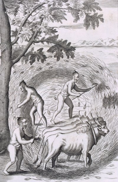 द्वीप सीलोन के एक ऐतिहासिक संबंध, पब से, अपने चावल को फैलाने का तरीका। 1681 उत्कीर्णन द्वारा रॉबर्ट नॉक्स