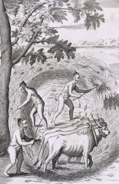 उनके चावल, पब को फैलाने का तरीका। 1681. द्वारा रॉबर्ट नॉक्स