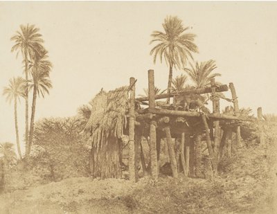 न्युबियन सक्कीह, या वाटर व्हील, सीए। 1856. द्वारा रॉबर्ट मरे।