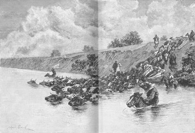 उरुग्वे को पार करते हुए मवेशियों का झुंड, c1885, 1890 द्वारा रॉबर्ट टेलर प्रिटचेट